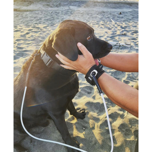 DOG LEASH