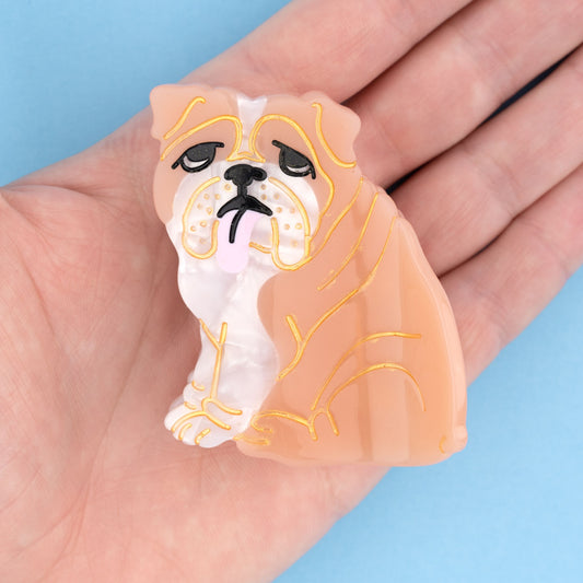 English Bulldog