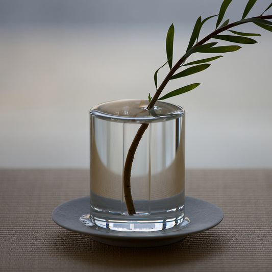 植物と水が一体となって見える花器 / shallows Crystal Vase